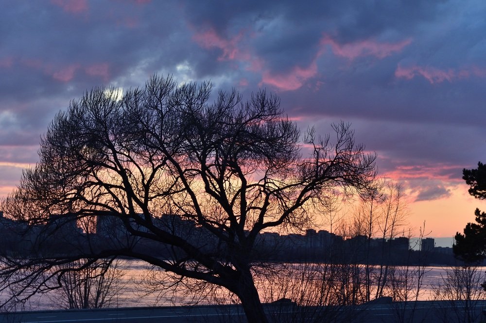 Photograph by Андрей Усов