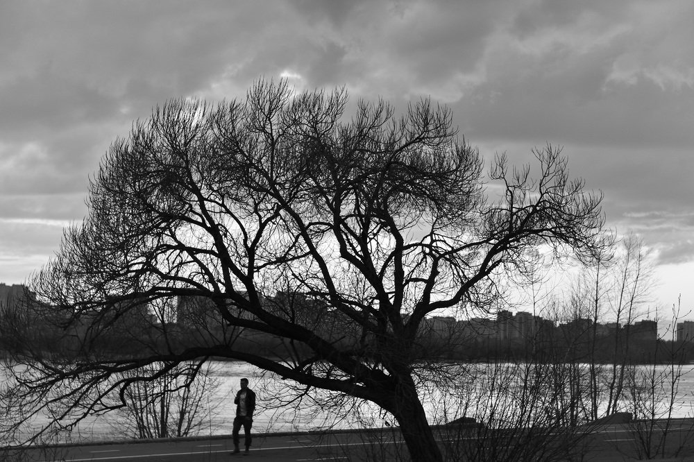 Photograph by Андрей Усов