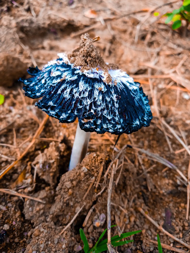 Photograph by Thembelihle Zuluboy