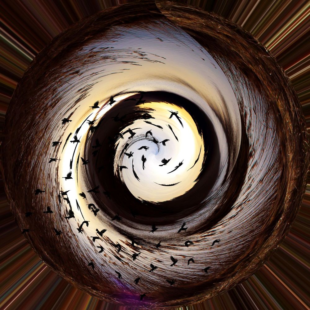 Photograph by Светлана Ковалёнок