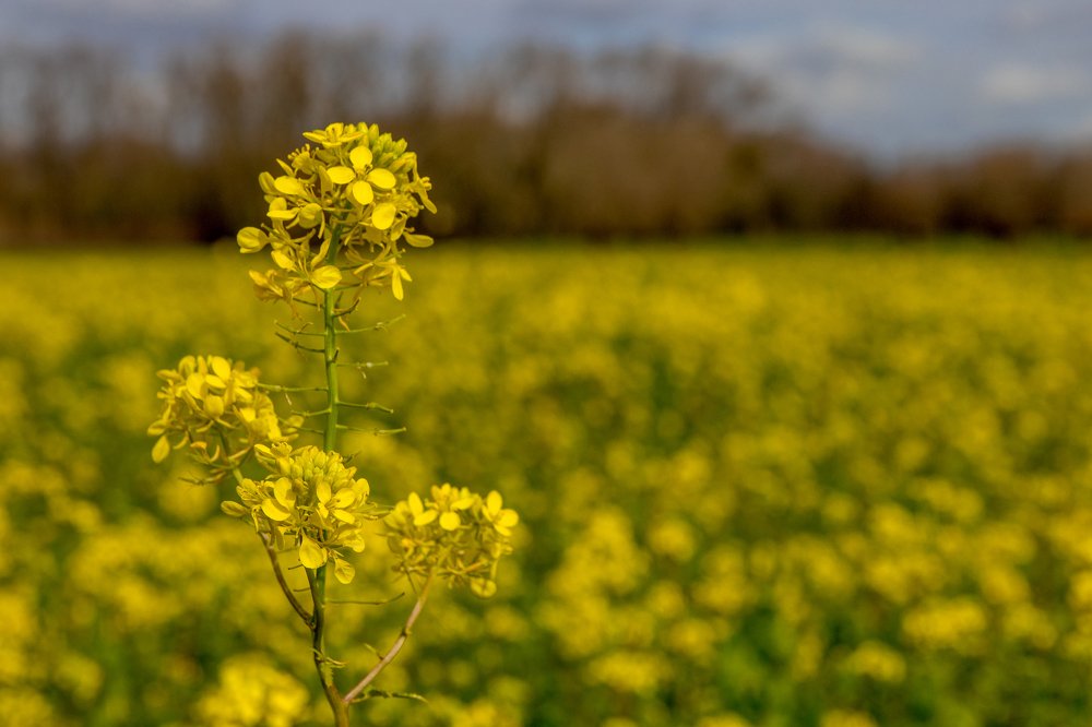 Photograph by Natascha Coene