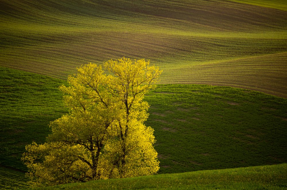 Фотография автора Марина Савчиц