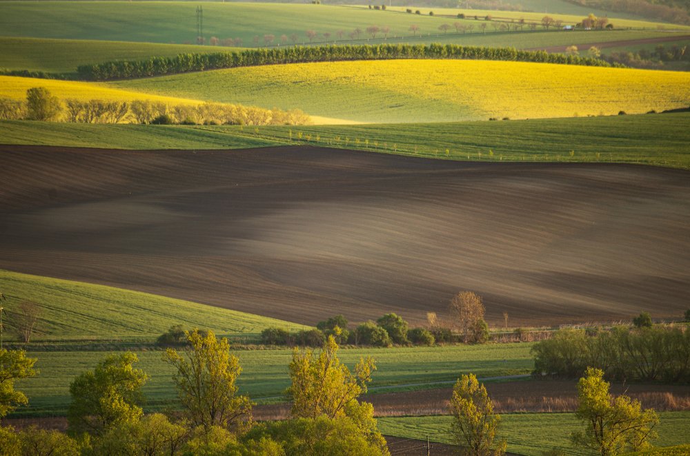 Фотография автора Марина Савчиц