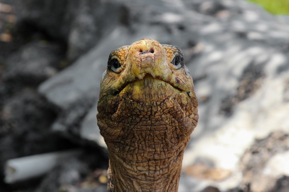 Photograph by Cristo R.