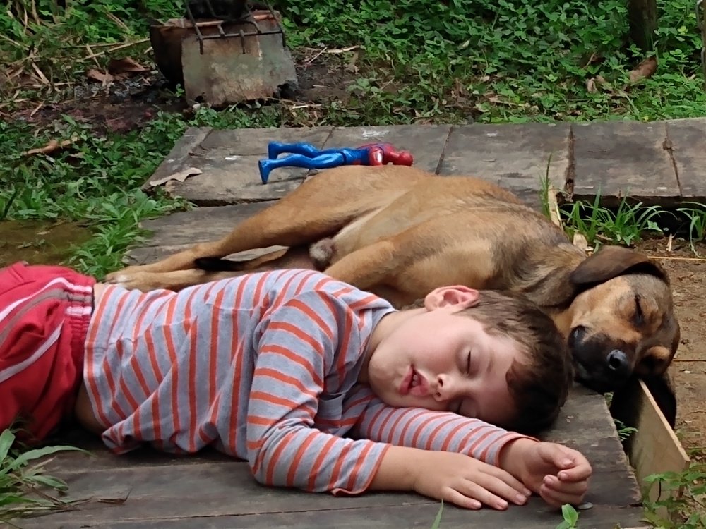 Photograph by Sávio Motta