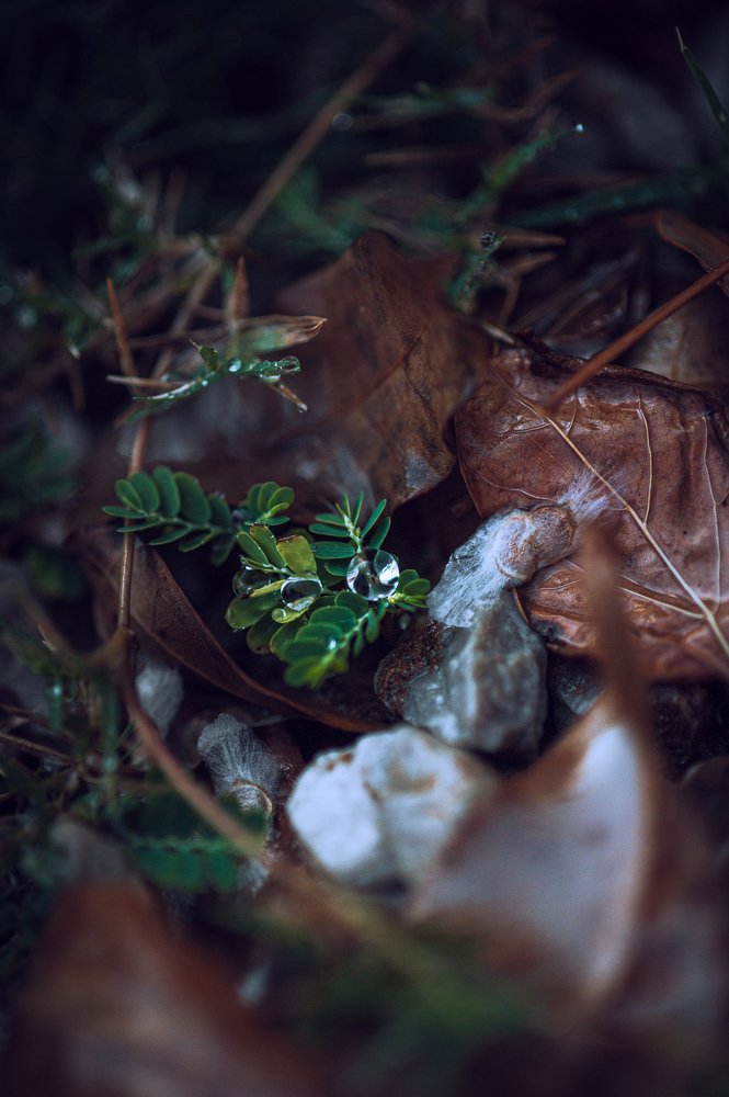 Photograph by ana correia