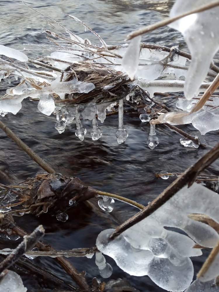 Photograph by Любовь Шаврина