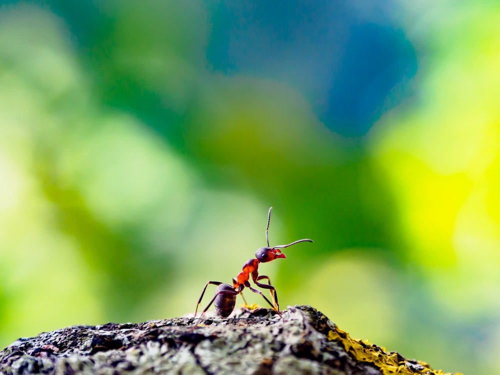 Photograph by Sergey