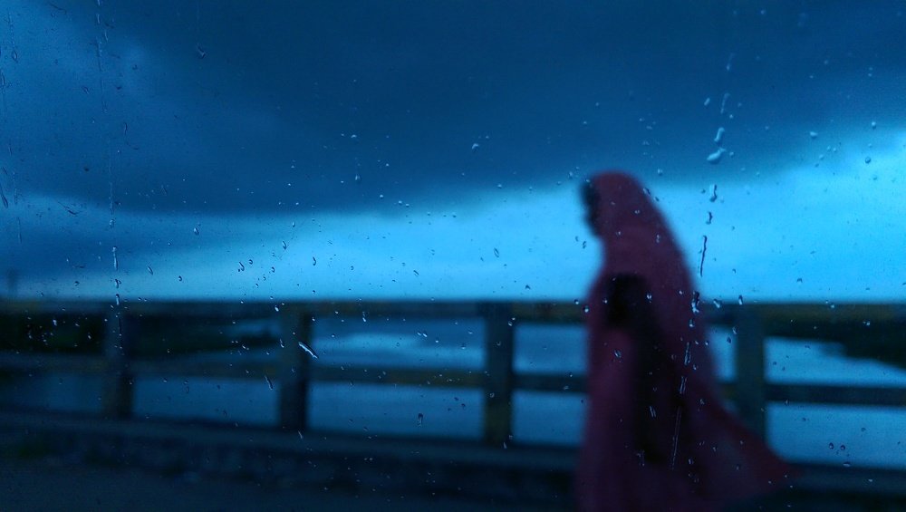 Photo #4550146