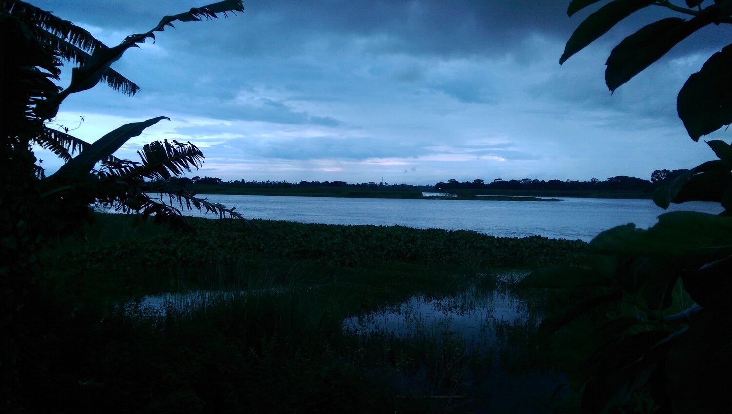Photo #4550147