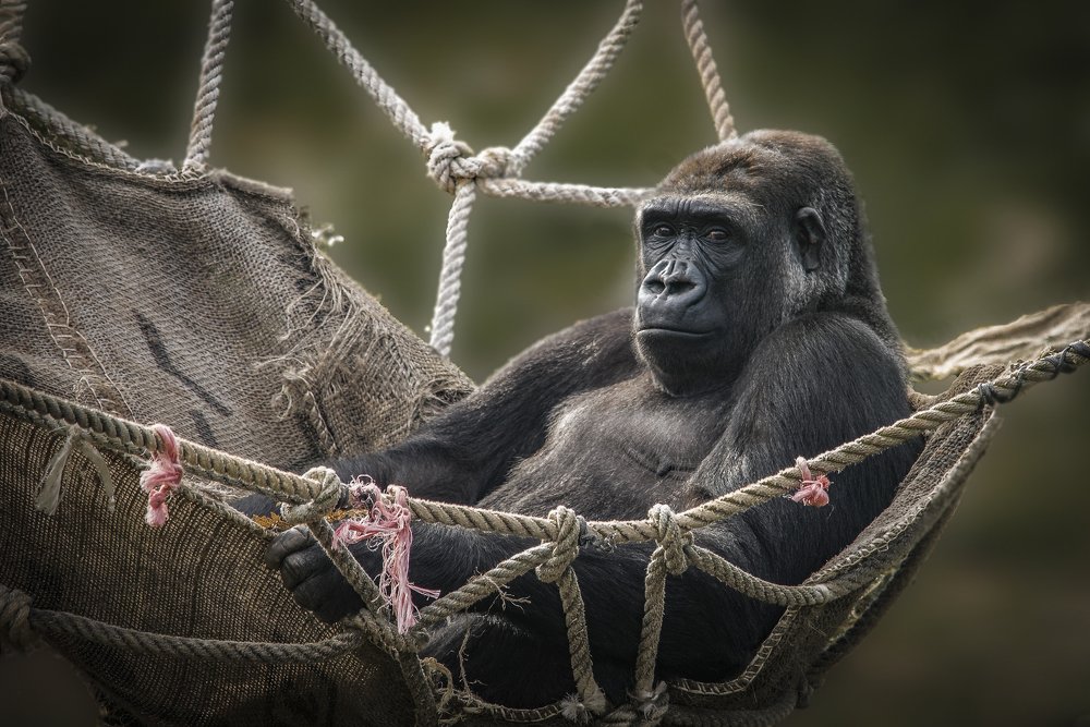 Photograph by Jesus Frias