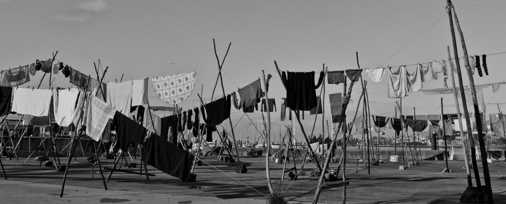 Photograph by Bruno Fernandes