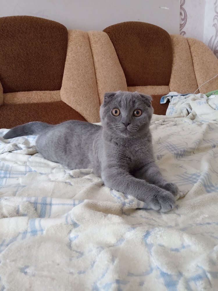 Photo #4550284