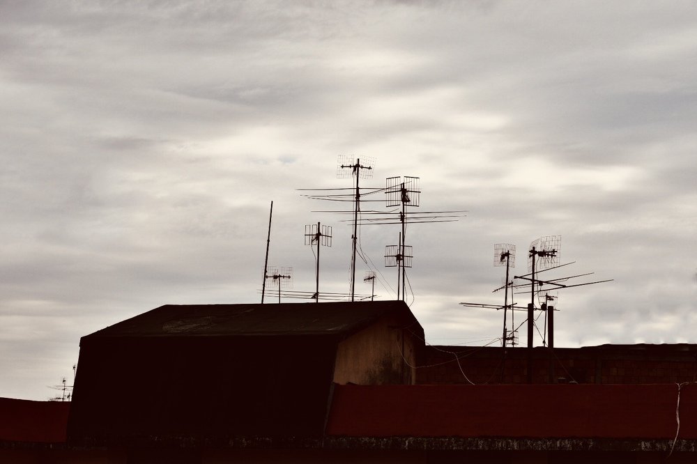 Giorno 42, quarantena.