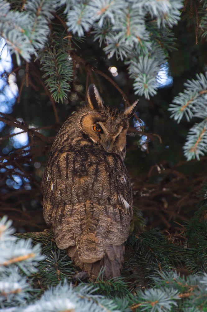 Photograph by Сергей Нестеренко