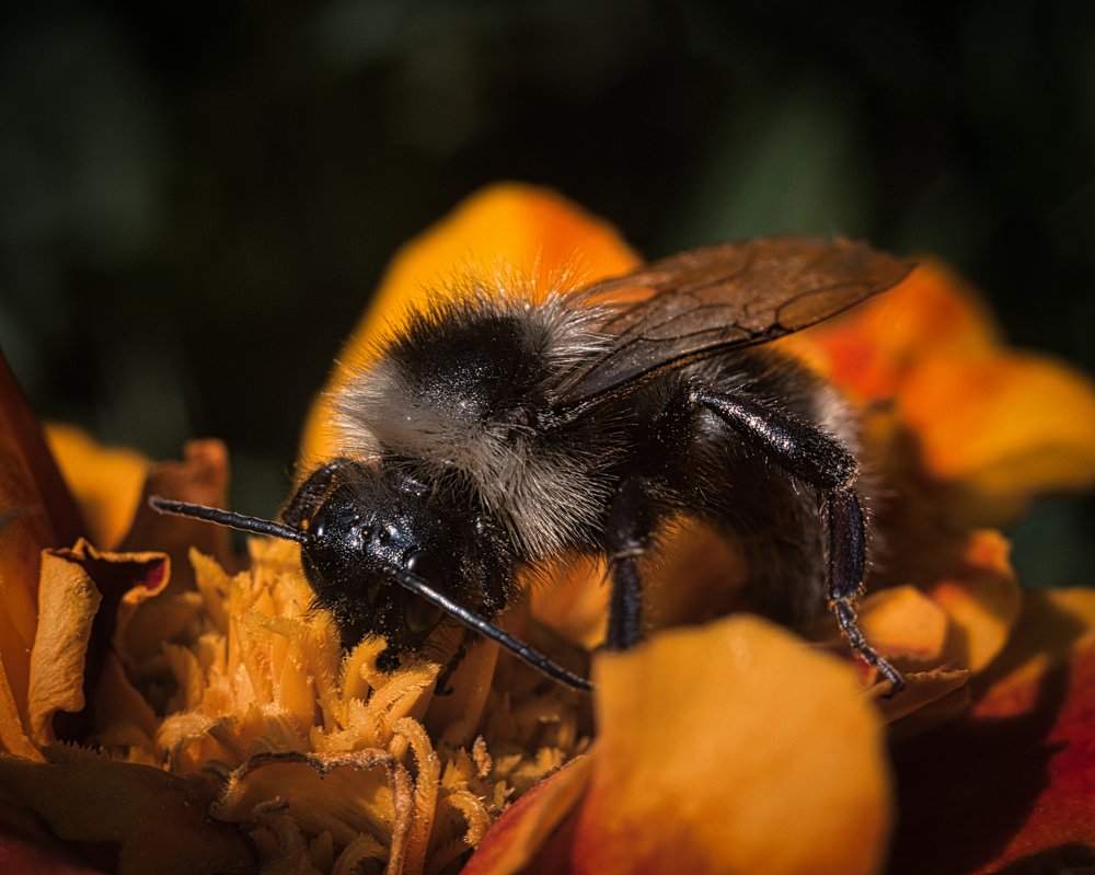 Пока солнце - делай свою работу.