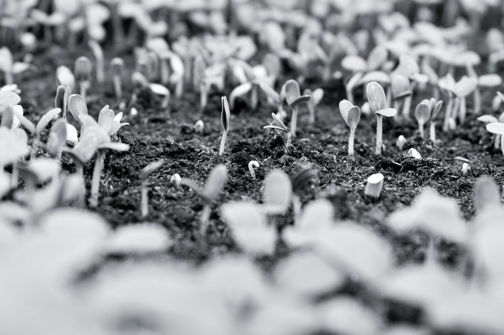 И это все о нем