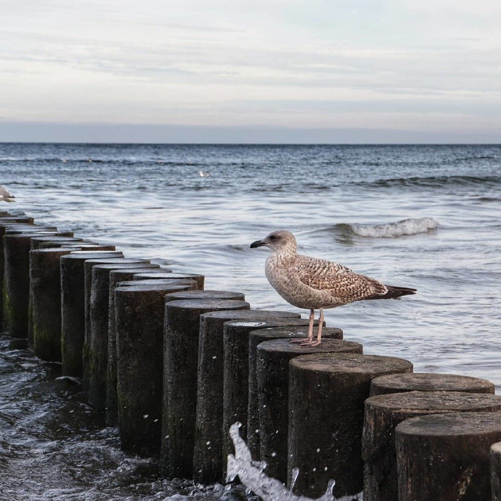 Photograph by Катерина