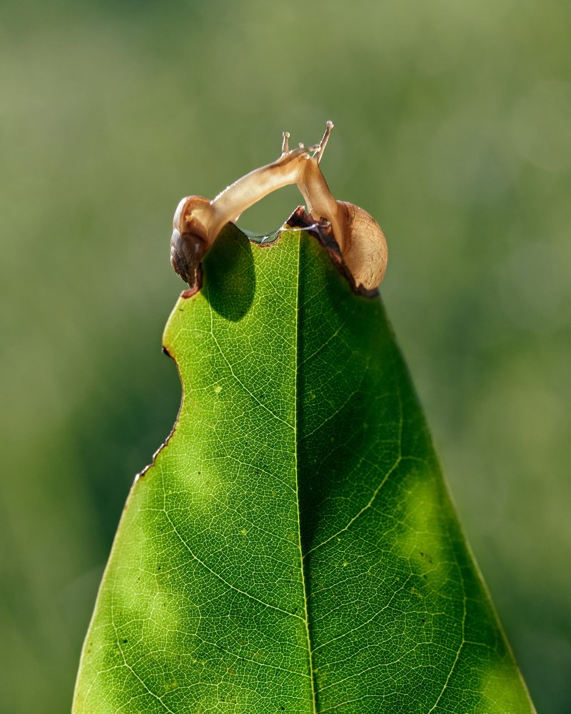Photograph by Hendra Tanzil Tanzil