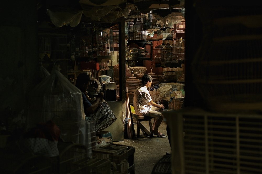 Photograph by Wira Harjanto Mishael