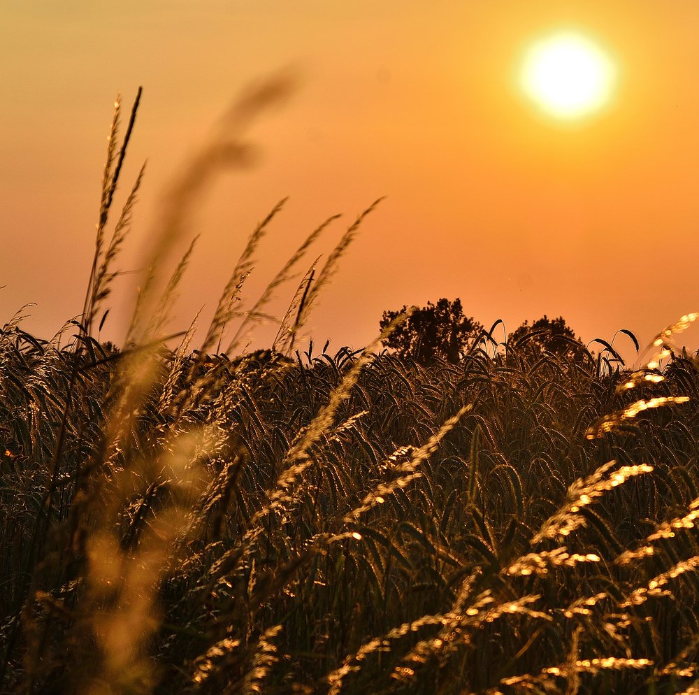 Photograph by Vitalii Kaznin