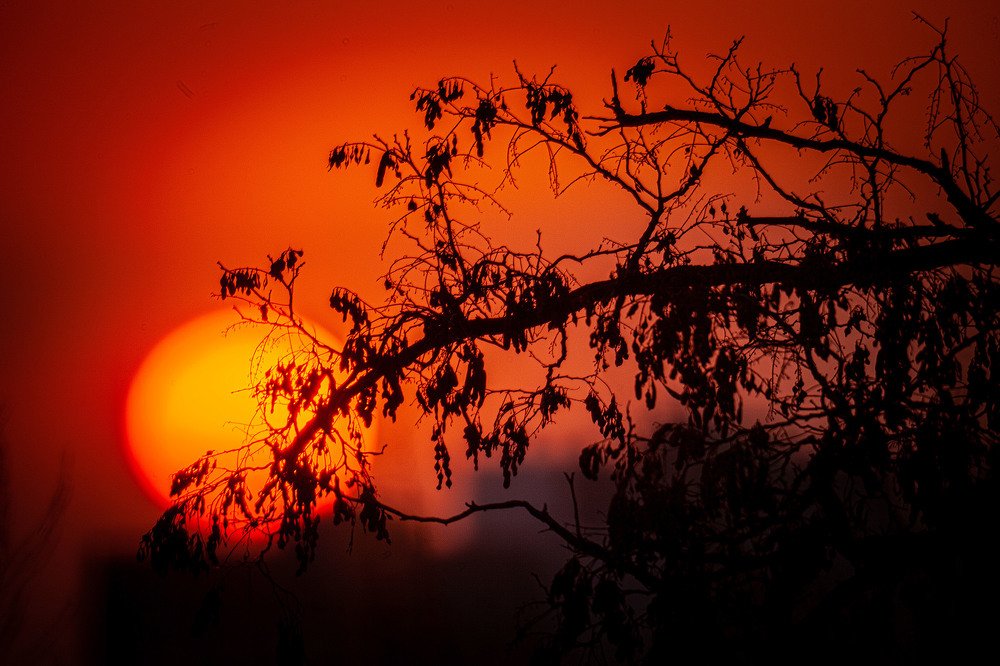 Photograph by Илья Кондрахин