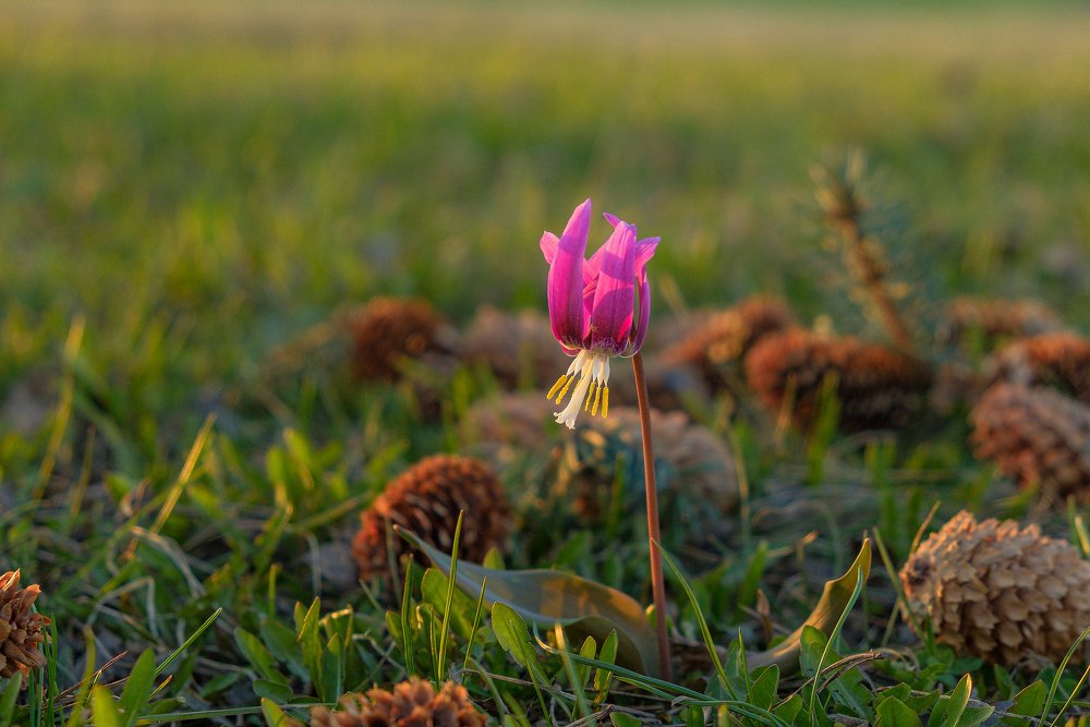 Photograph by Александр Потапов