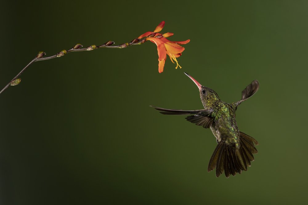 Photograph by Esteban Argerich