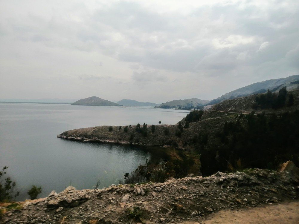 Photo #4551026