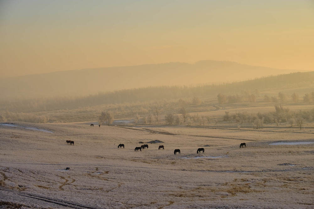 Photograph by  Юрий