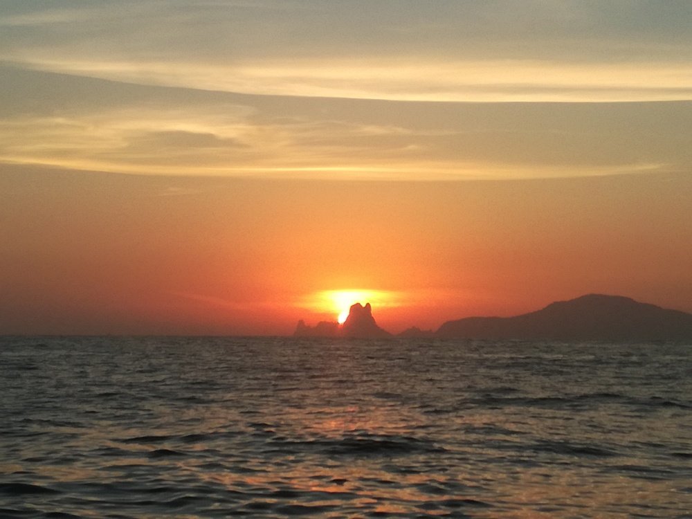 Photo #4551166