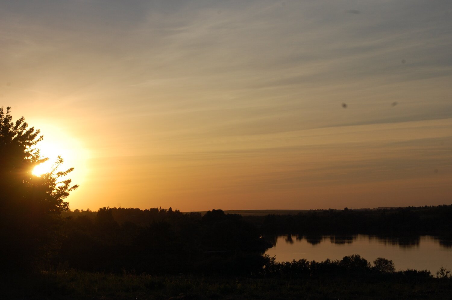 Photo #4551320