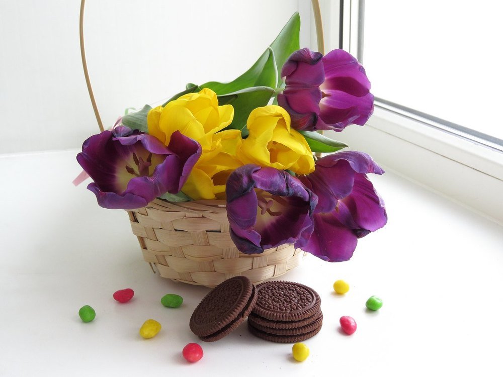 натюрморт с тюльпанами