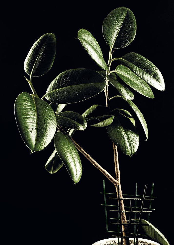 Photograph by Константин Шевель