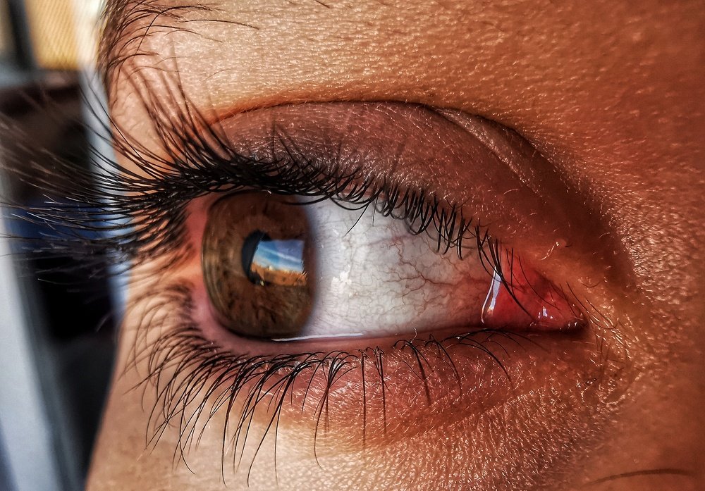 Photograph by Georgi Tomov