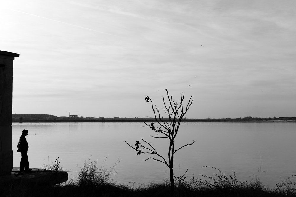 Photograph by Mercan Andra