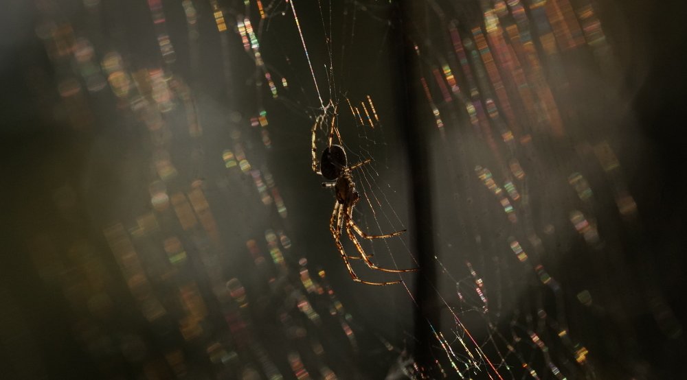 Photograph by Андрей Шартов