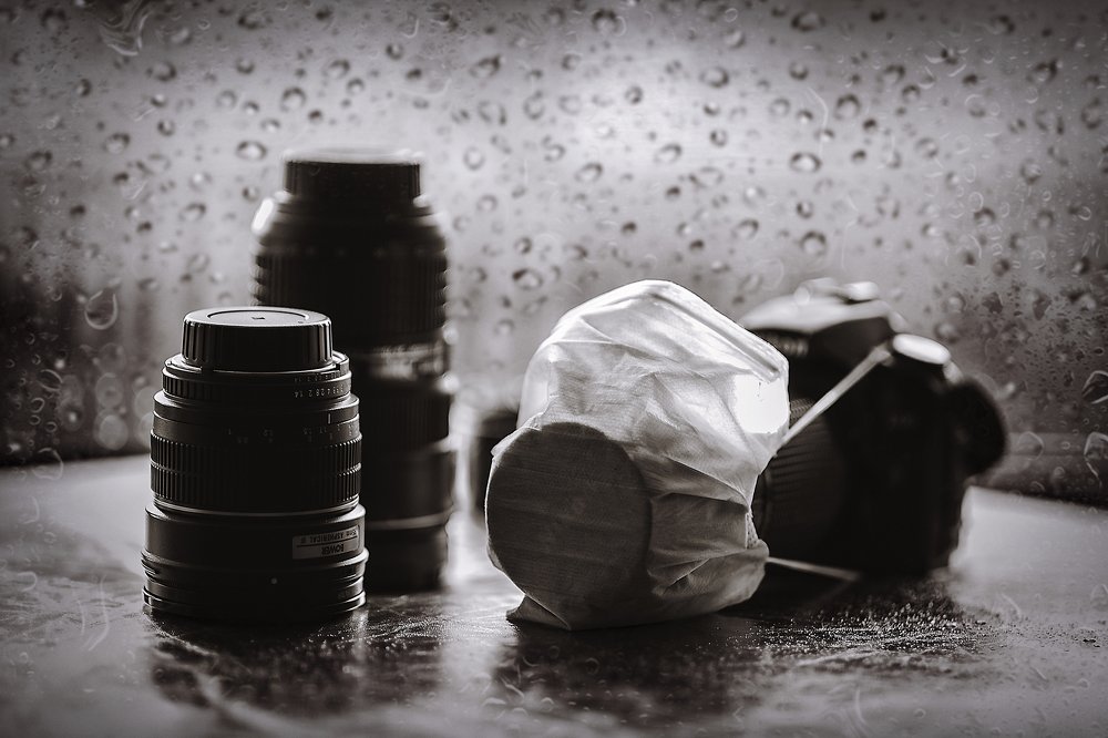 Photograph by Ксения Лысенкова