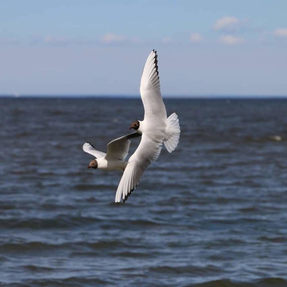 Photograph by Надежда Сальянова