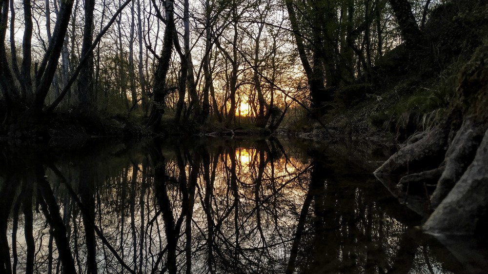 Photograph by Ирина Корх