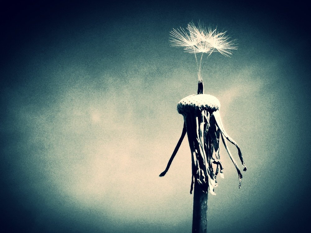 Photograph by Стефанова Татьяна