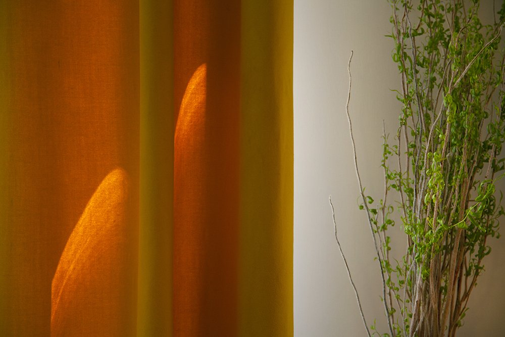 Photograph by Hengameh pirooz