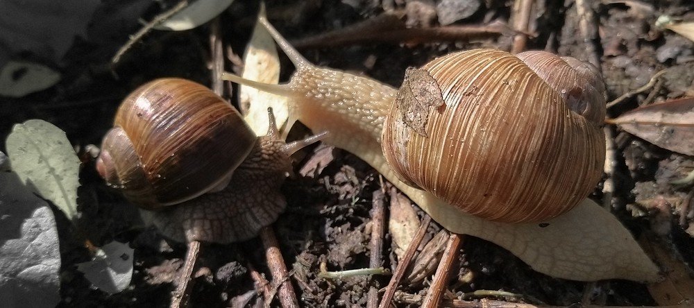 Photograph by Лада Денисова