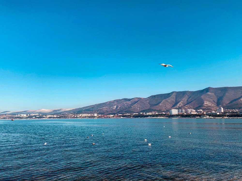 Photograph by Вайсов Родион