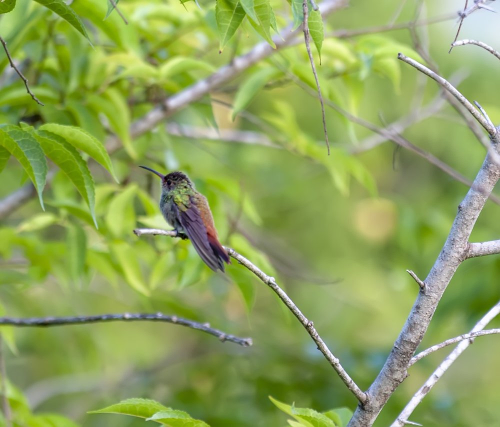 Фотография автора Jorge Herraiz