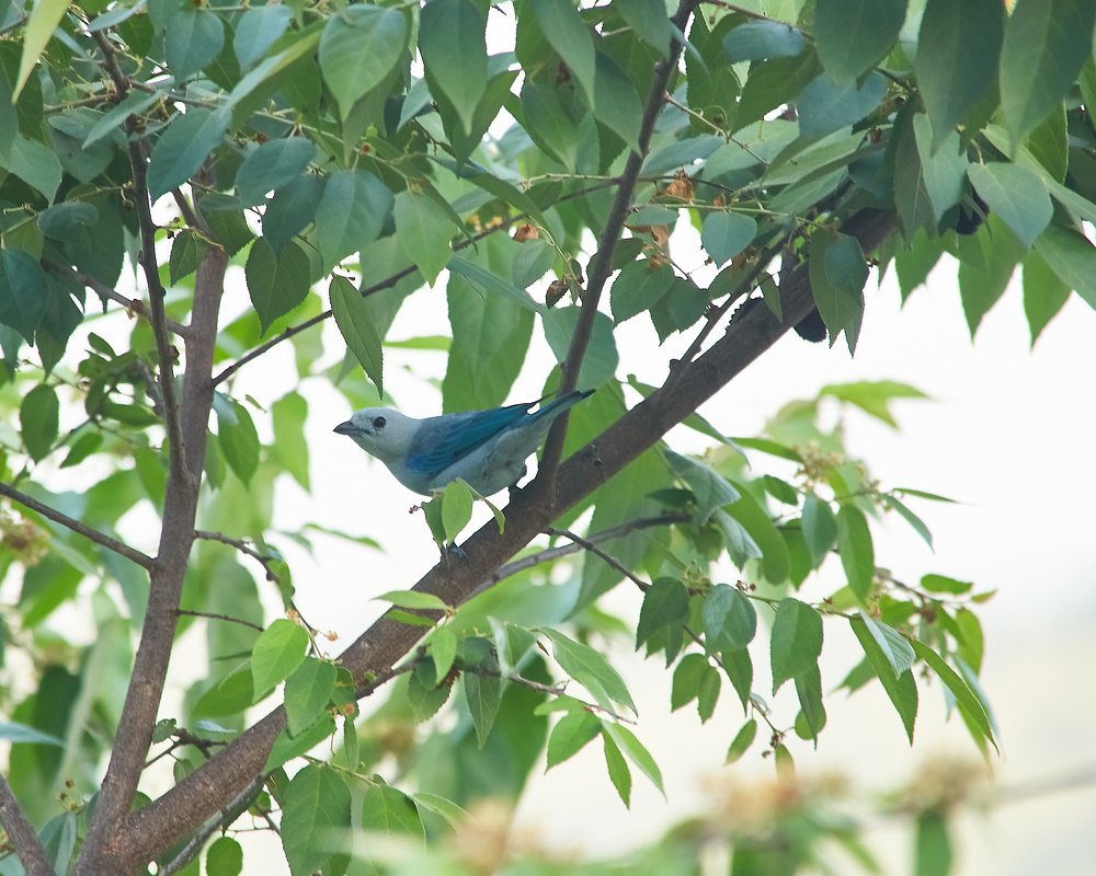 Фотография автора Jorge Herraiz