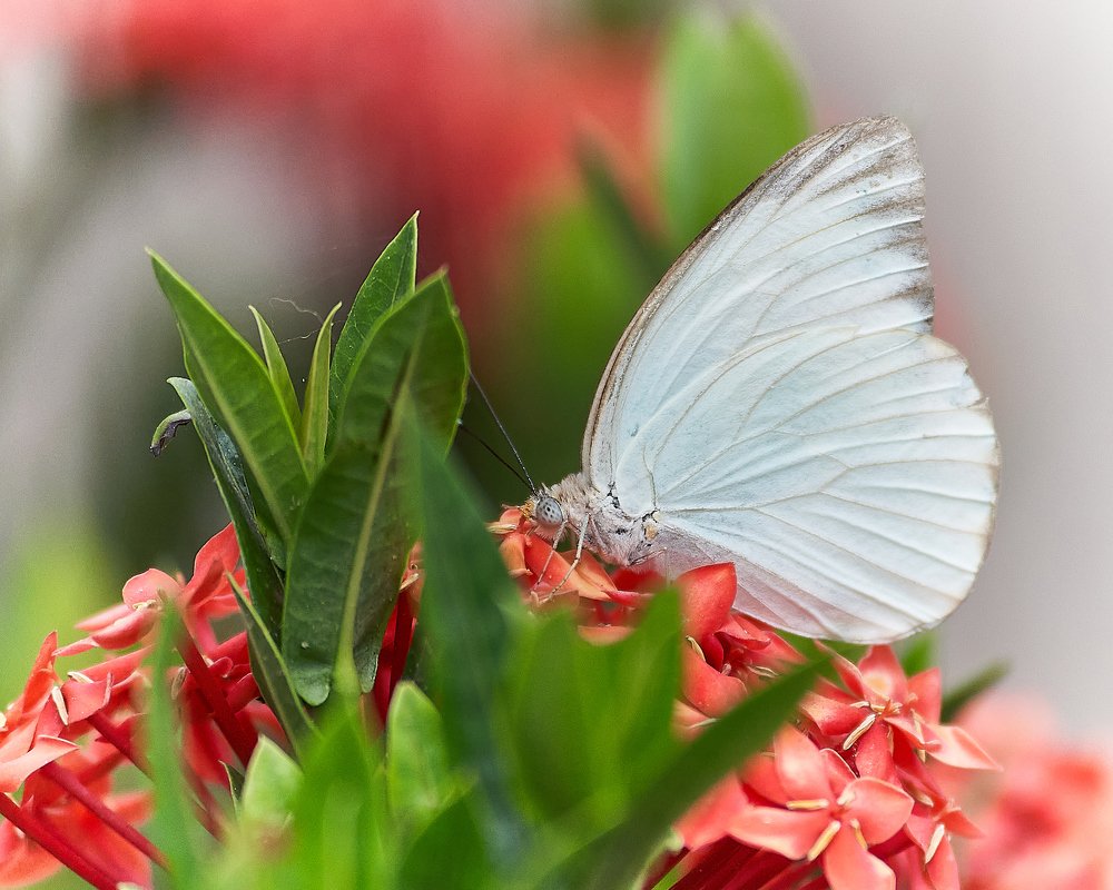 Фотография автора Jorge Herraiz