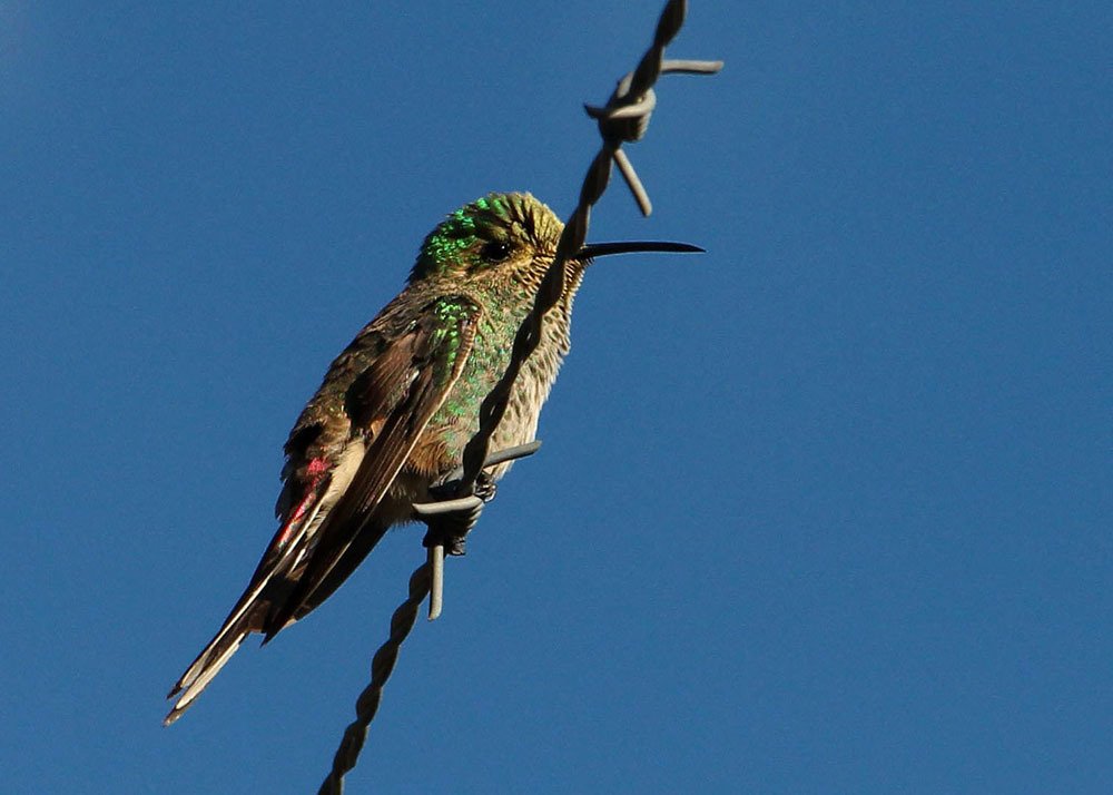 Photograph by Amalia Segovia