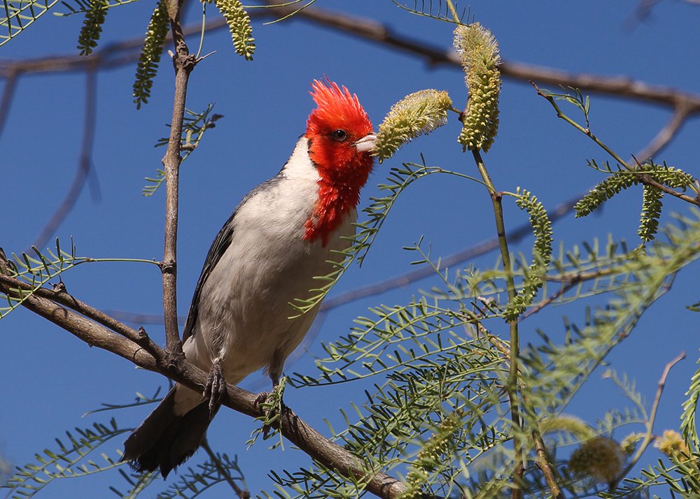 Photograph by Amalia Segovia