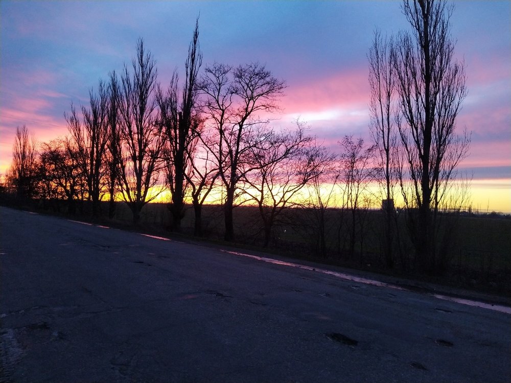 Photograph by ЛЮДМИЛА